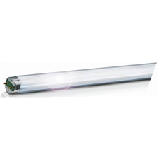 ΛΑΜΠΑ ΦΘΟΡΙΟY 36W OSRAM